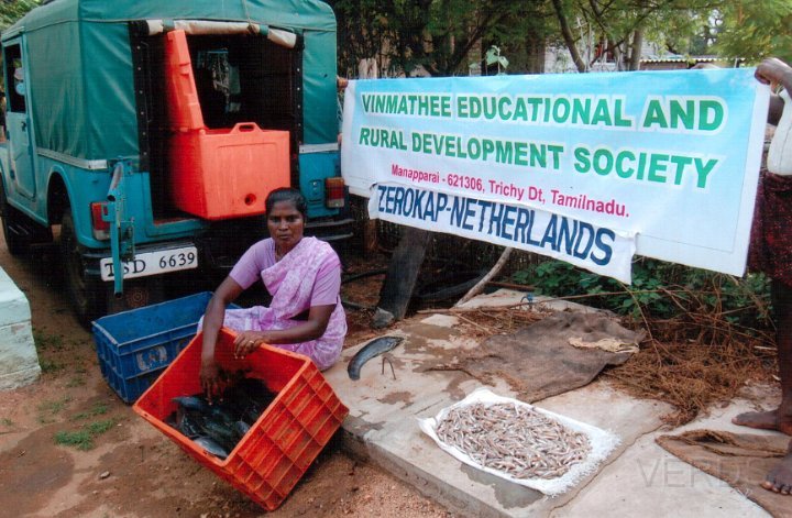 Fish trade by a SHG member.jpg